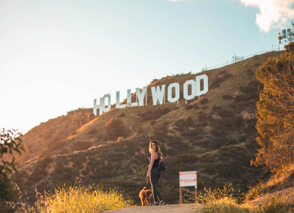 Best Instagram Accounts To Follow In 2018